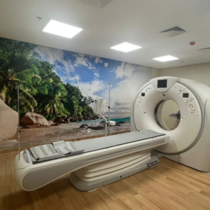 Ressonância Magnética por meio do equipamento Magnetom Espree de 1,5T, atendendo a demanda de diversas áreas como Radiologia Vascular, Neurologia, Musculoesquelético, Cabeça e Pescoço, Cardiologia e Oncologia, tanto para pacientes hospitalizados quanto ambulatoriais.